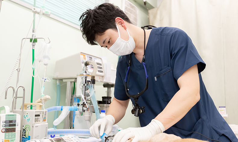 通院中のペットには救急対応も可能