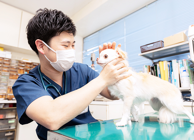 ひさだ動物病院 key slider