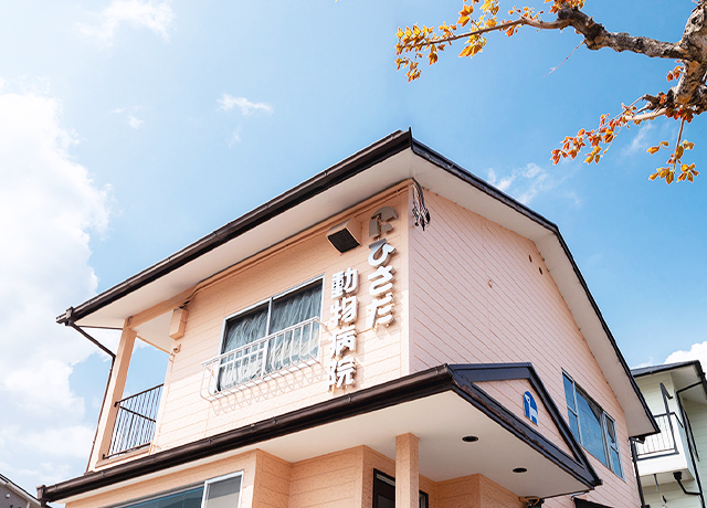 ひさだ動物病院 key slider