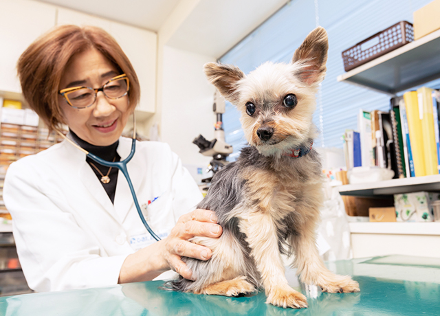 ひさだ動物病院 key slider