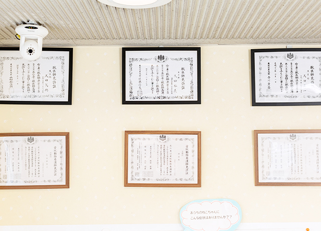 ひさだ動物病院 key slider