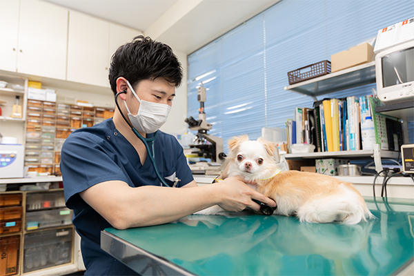 医療から逃げない。共に考え、支えたい