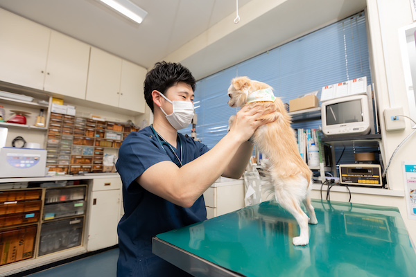 変わらぬ想いで支える、地域の動物医療